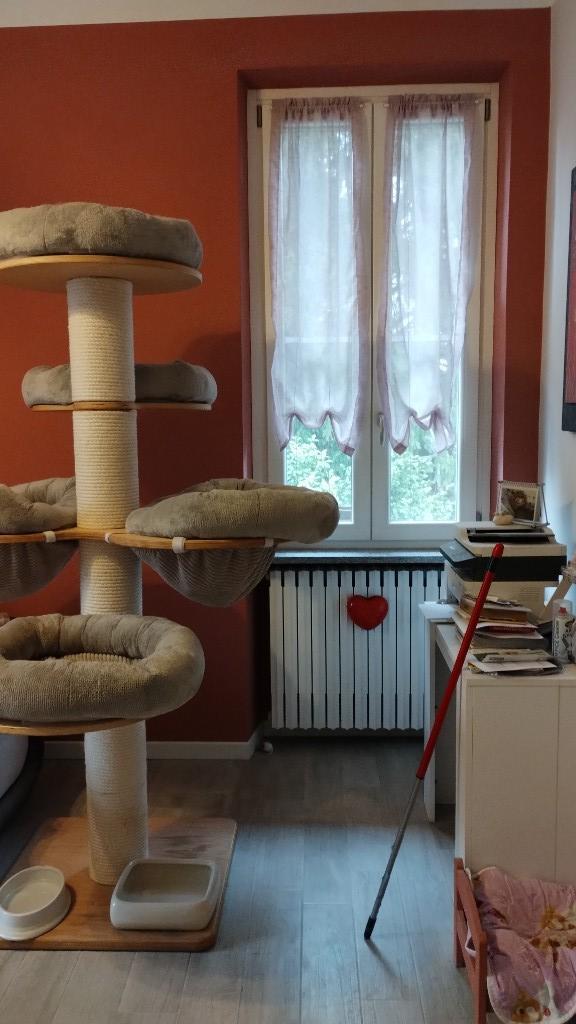 immagine annuncio 2 di 7