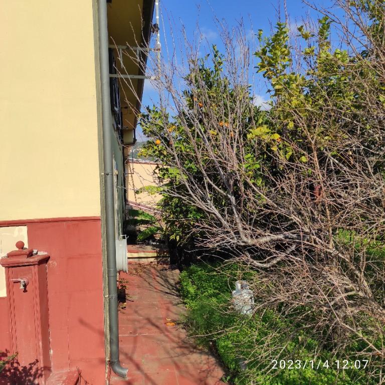 immagine annuncio 5 di 7