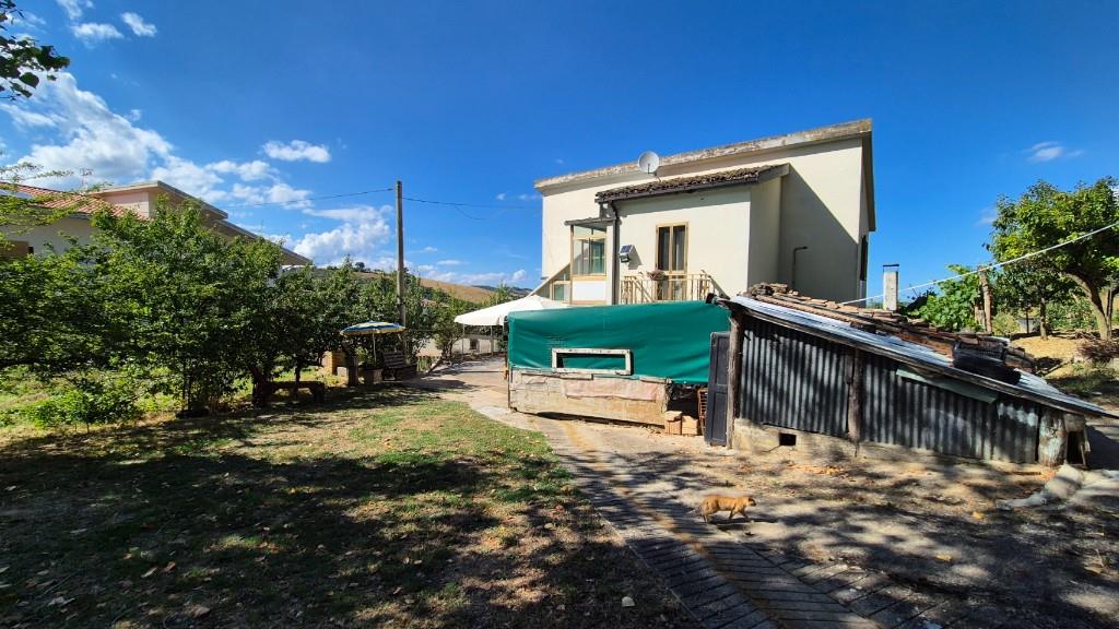 immagine annuncio 6 di 7