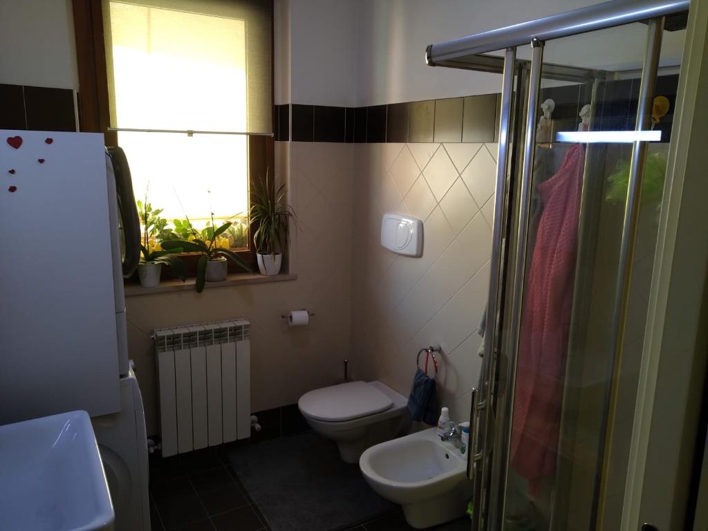 immagine annuncio 3 di 7