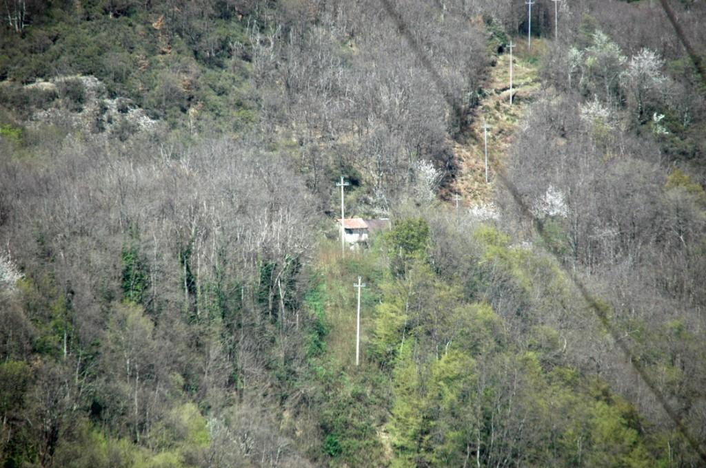 immagine annuncio 2 di 7