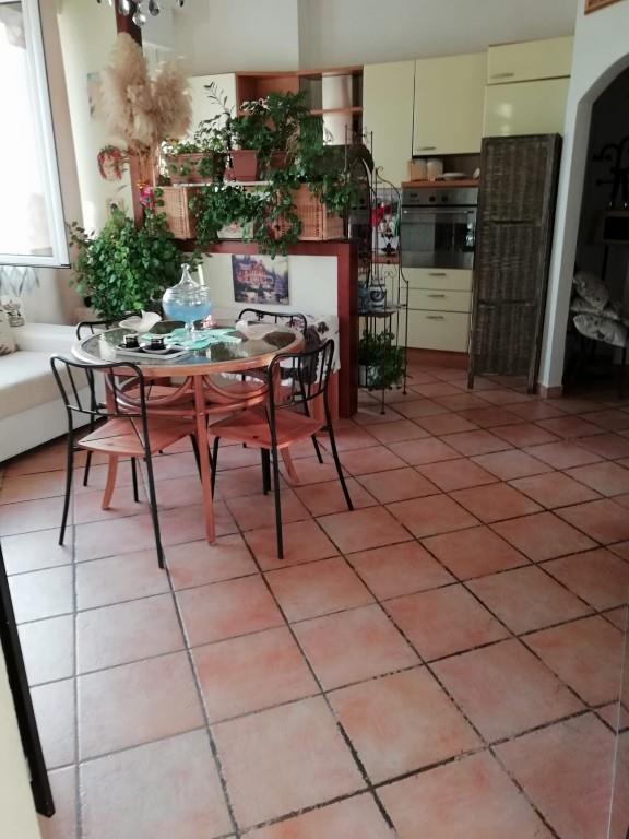 immagine annuncio 2 di 7