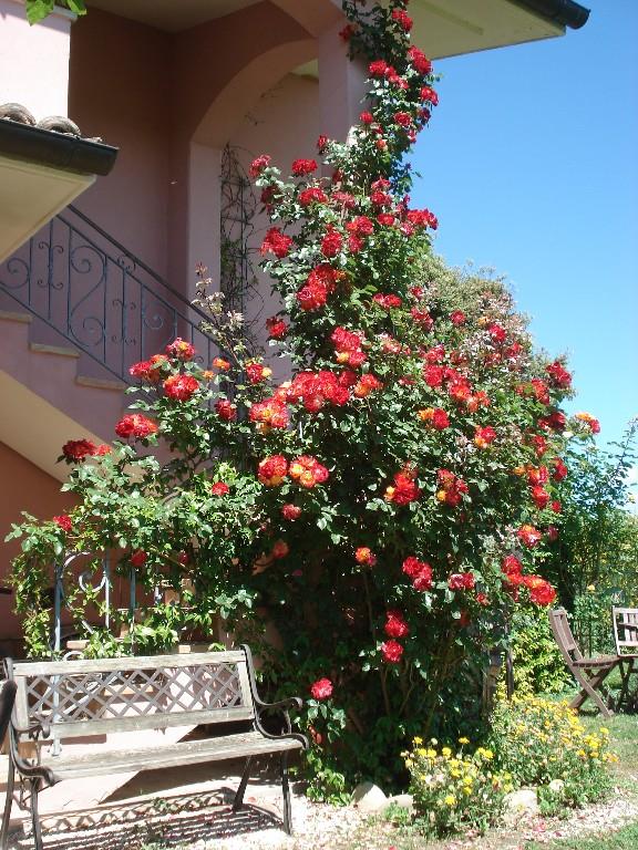 immagine annuncio 3 di 7