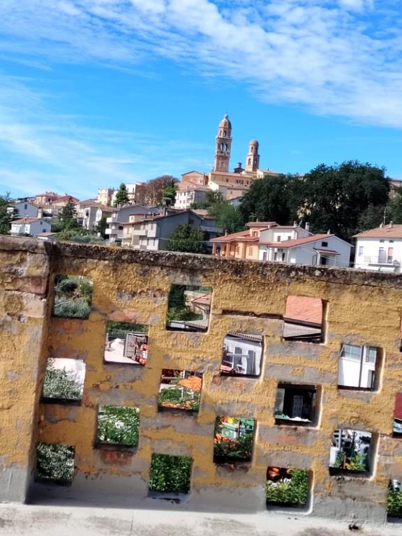 immagine annuncio 3 di 7