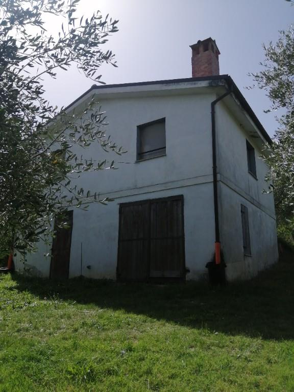 immagine annuncio 3 di 7