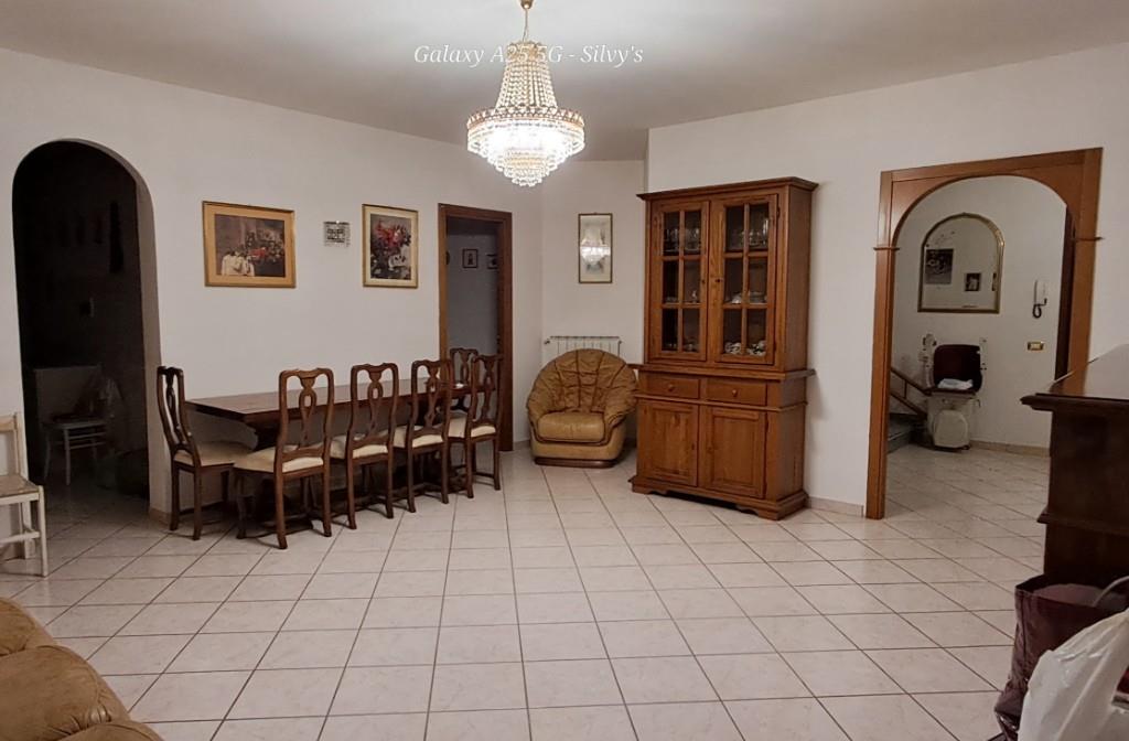 immagine annuncio 4 di 7