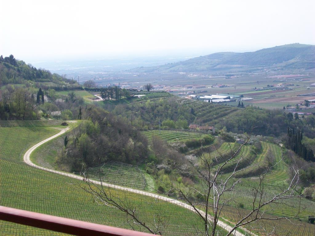 immagine annuncio 2 di 7