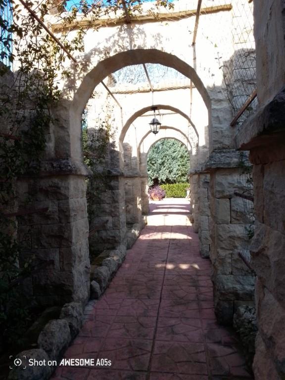 immagine annuncio 4 di 7