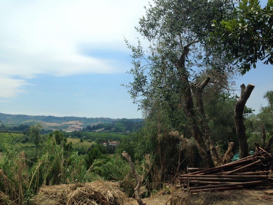 immagine annuncio 3 di 7