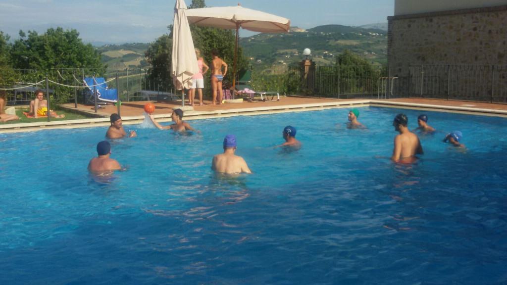 immagine annuncio 1 di 6