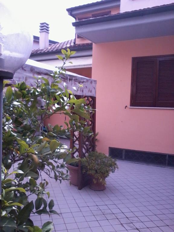 immagine annuncio 6 di 7