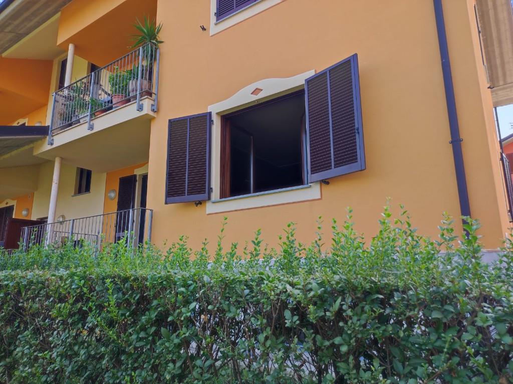 immagine annuncio 4 di 7