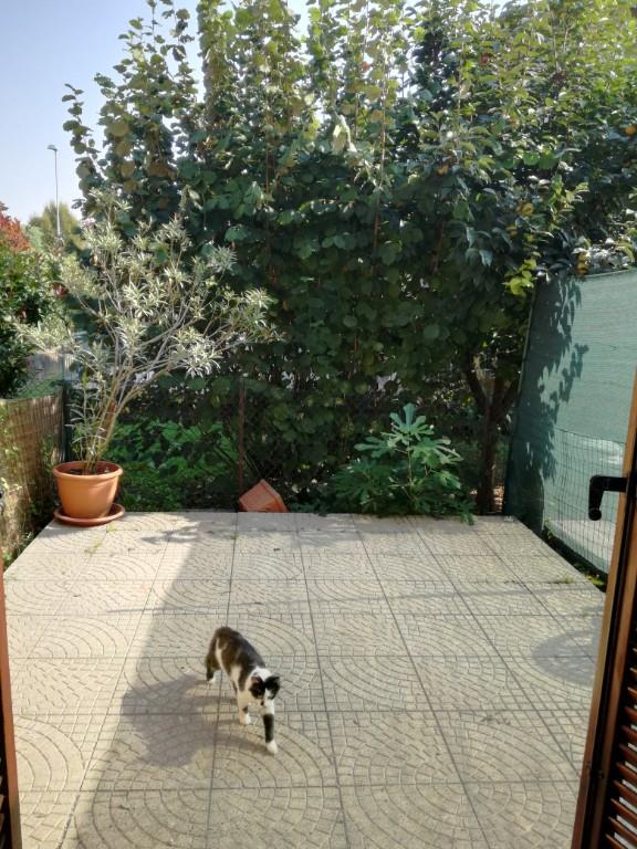 immagine annuncio 1 di 2