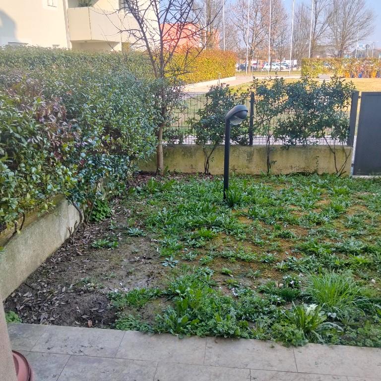 immagine annuncio 5 di 7