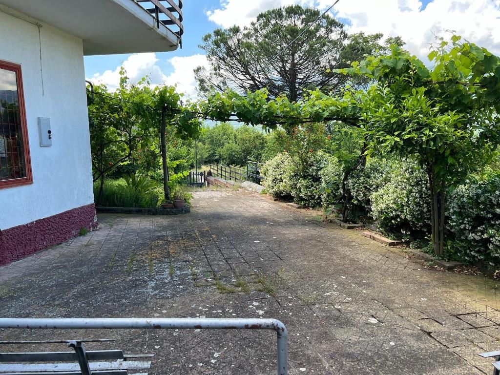 immagine annuncio 5 di 7