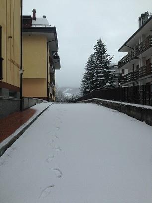 immagine annuncio 5 di 7