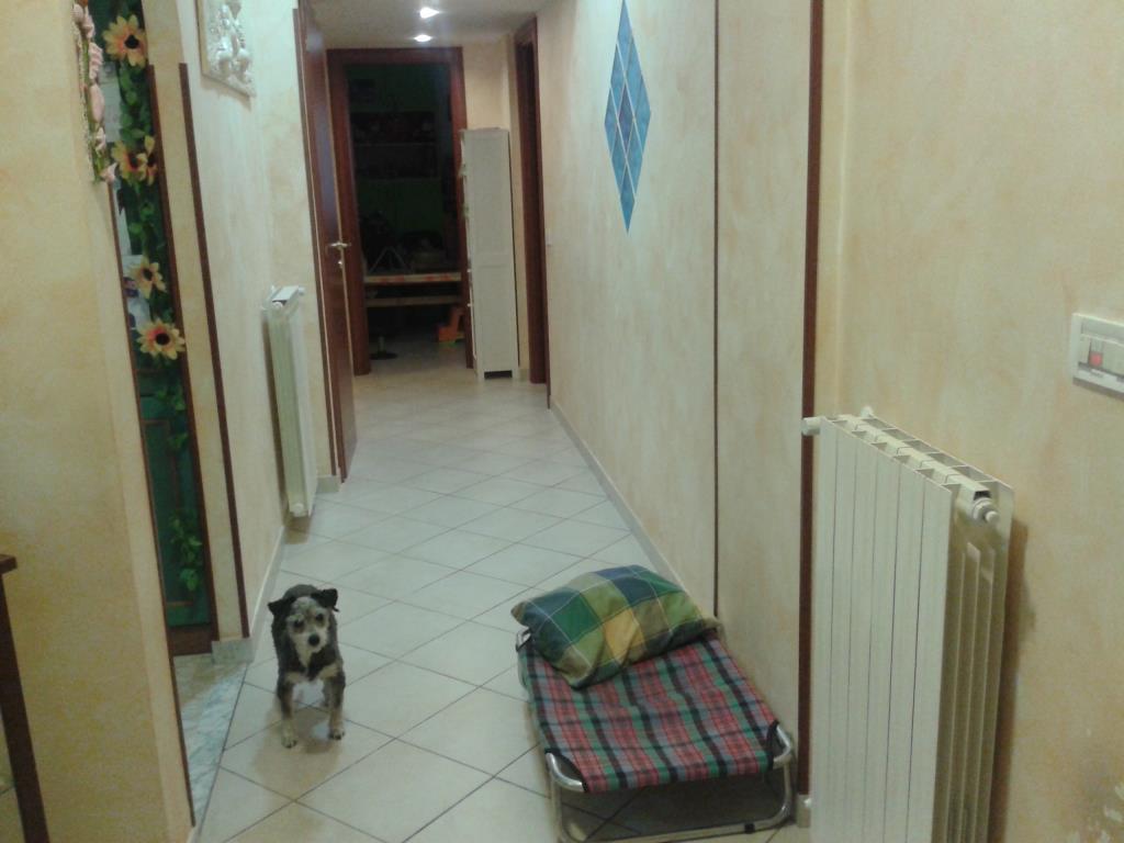 immagine annuncio 1 di 7