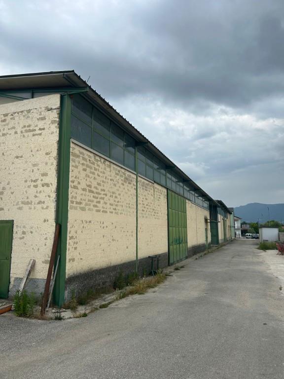 immagine annuncio 3 di 7