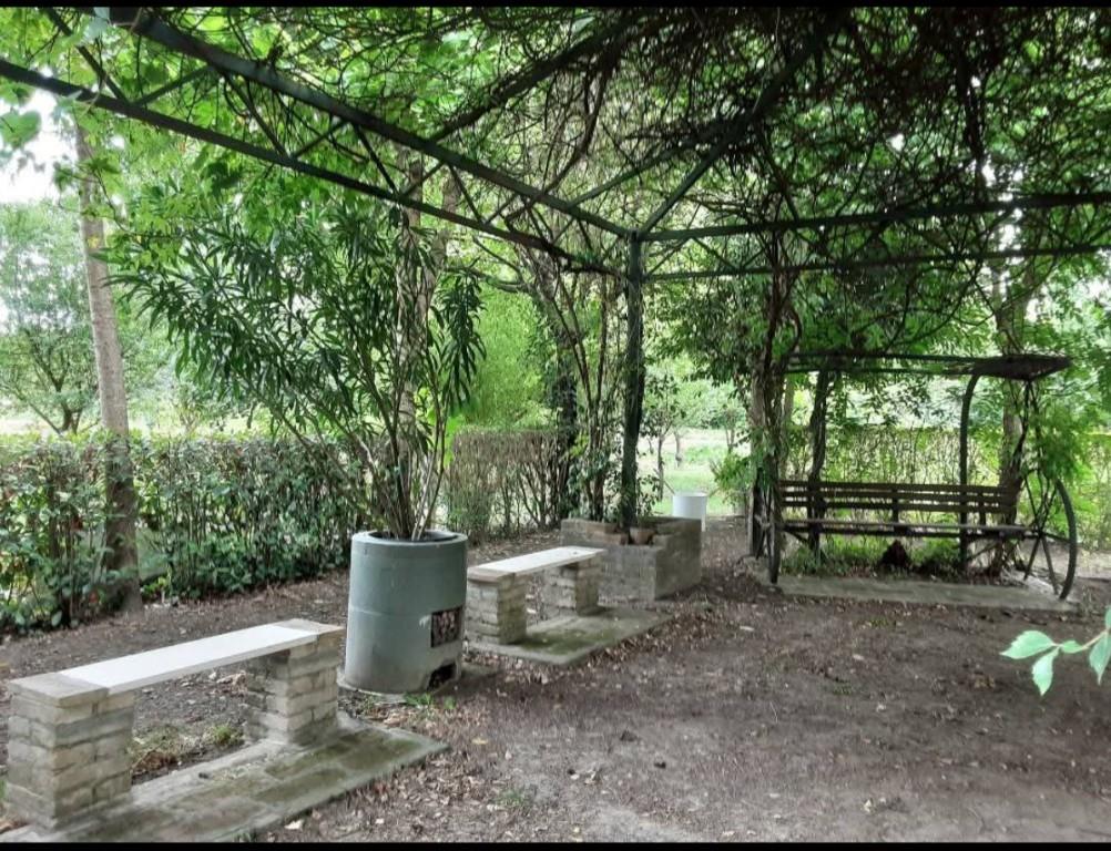 immagine annuncio 6 di 7