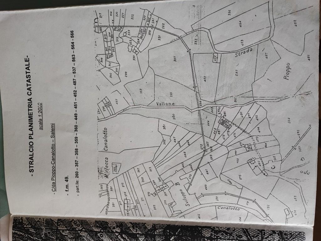 immagine annuncio 5 di 7