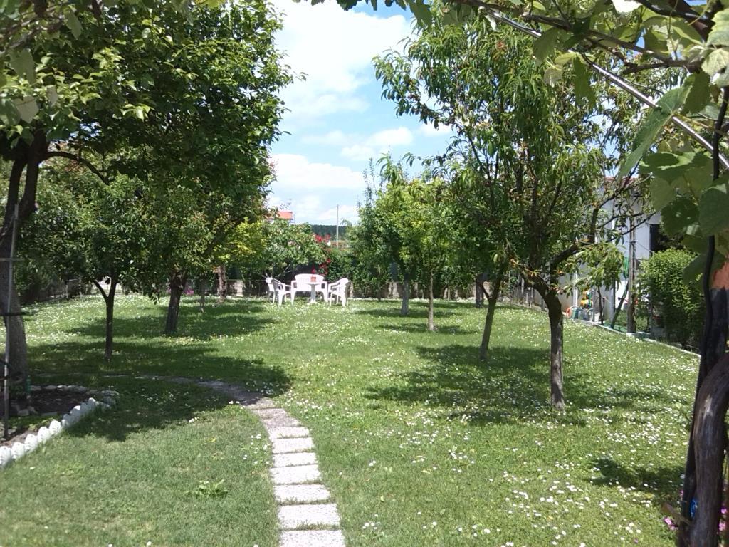 immagine annuncio 6 di 7