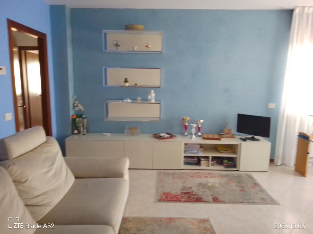 immagine annuncio 1 di 7