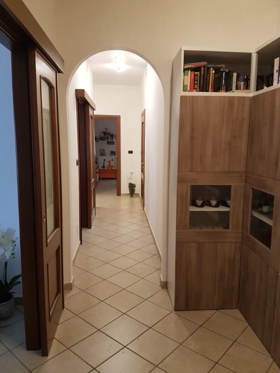 immagine annuncio 3 di 7