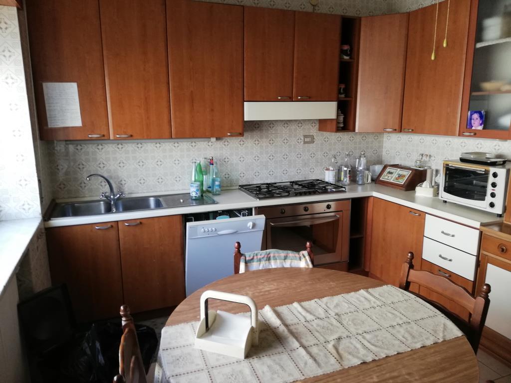 immagine annuncio 1 di 7