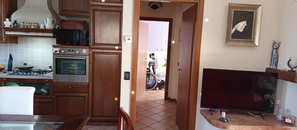 immagine annuncio 5 di 7