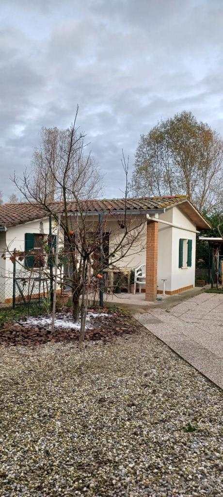 immagine annuncio 4 di 7