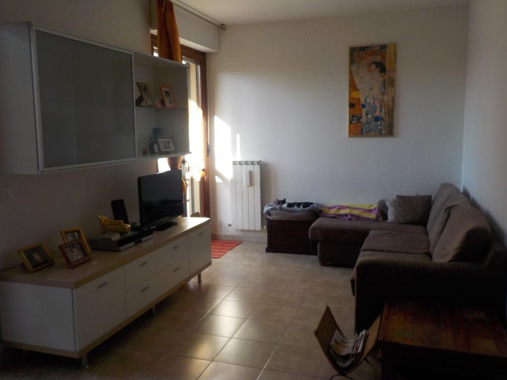 immagine annuncio 3 di 6
