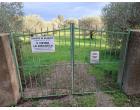 Foto - Terreno Agricolo/Coltura in Vendita a Orosei (Nuoro)