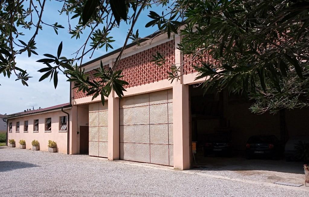 immagine annuncio 5 di 7