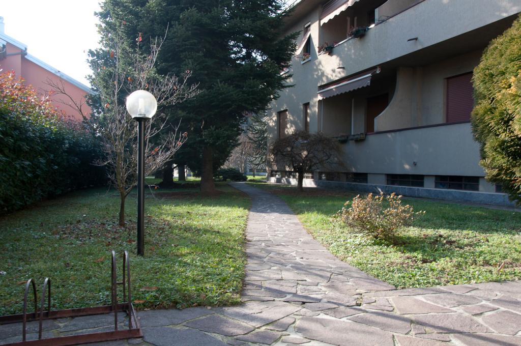 immagine annuncio 4 di 7