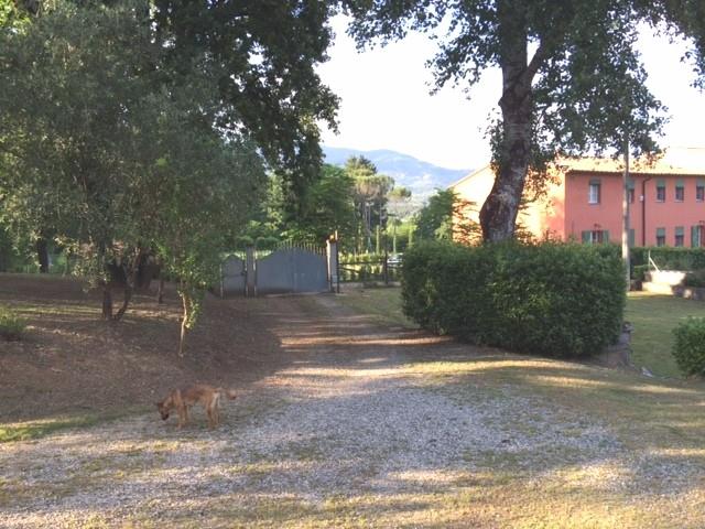 immagine annuncio 1 di 7