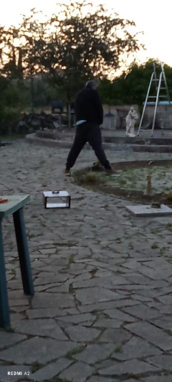 immagine annuncio 3 di 7