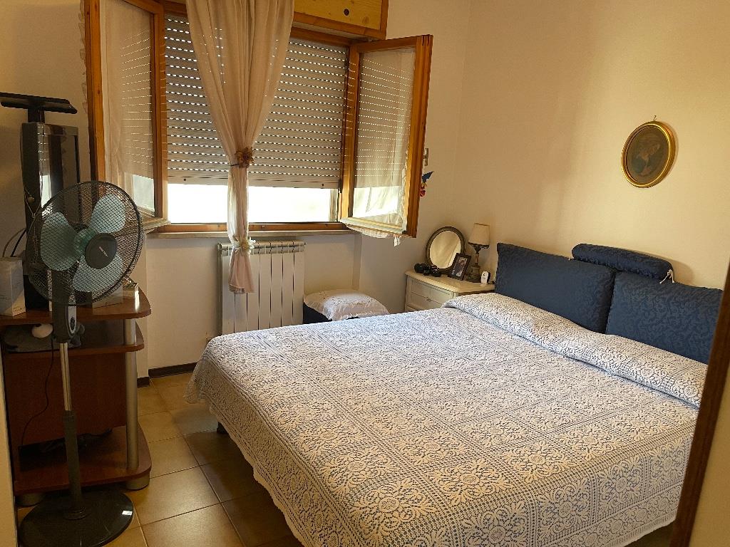 immagine annuncio 3 di 7