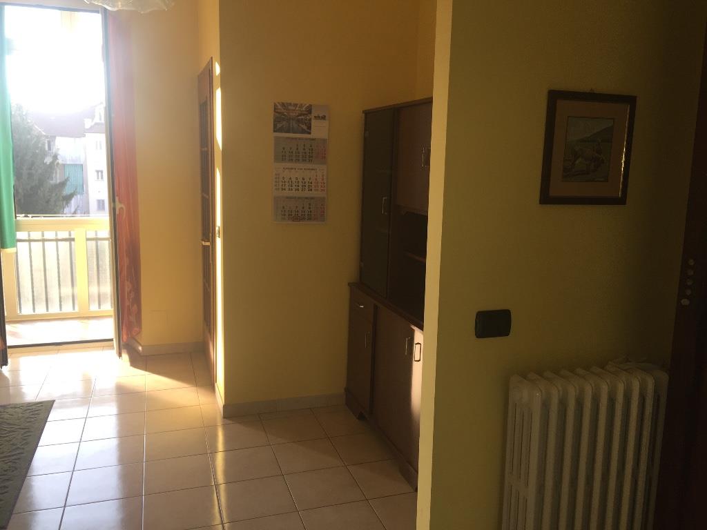 immagine annuncio 2 di 7