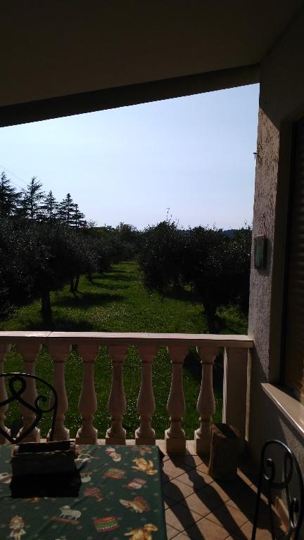 immagine annuncio 1 di 7