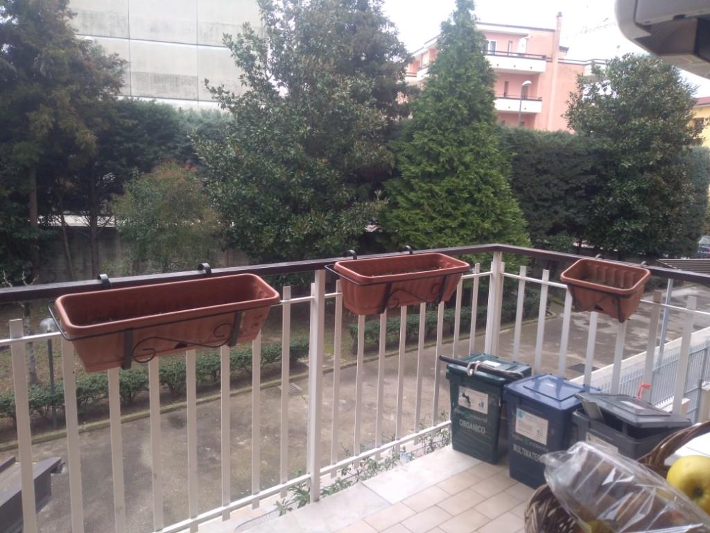 immagine annuncio 4 di 7