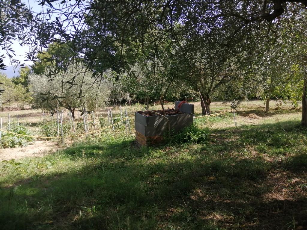 immagine annuncio 1 di 7