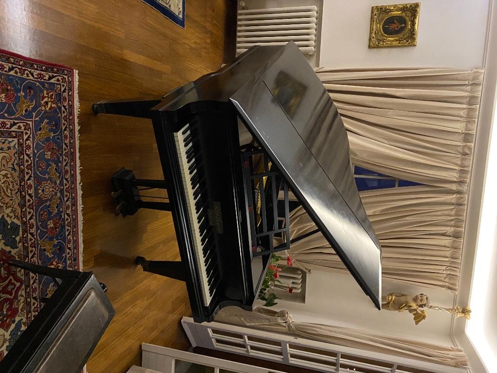 immagine annuncio 1 di 2