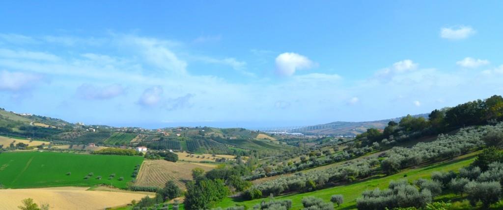 immagine annuncio 3 di 4