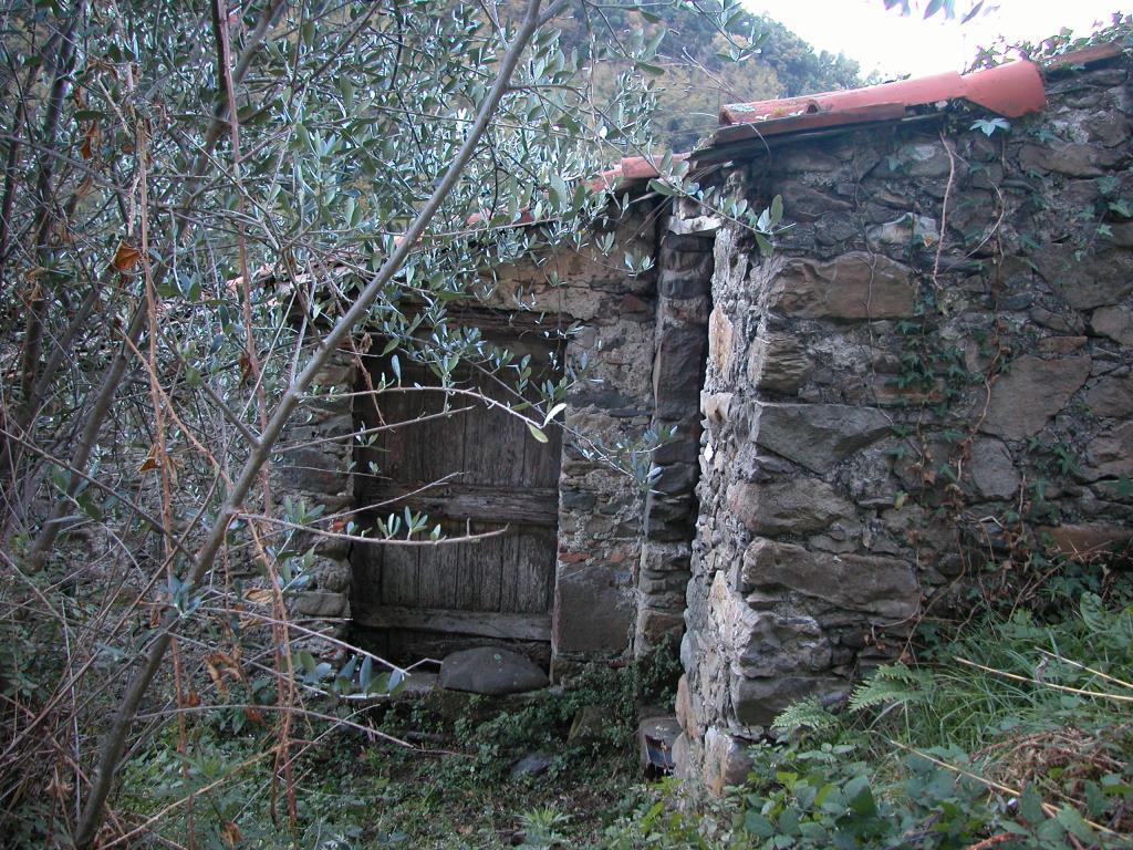 immagine annuncio 5 di 6