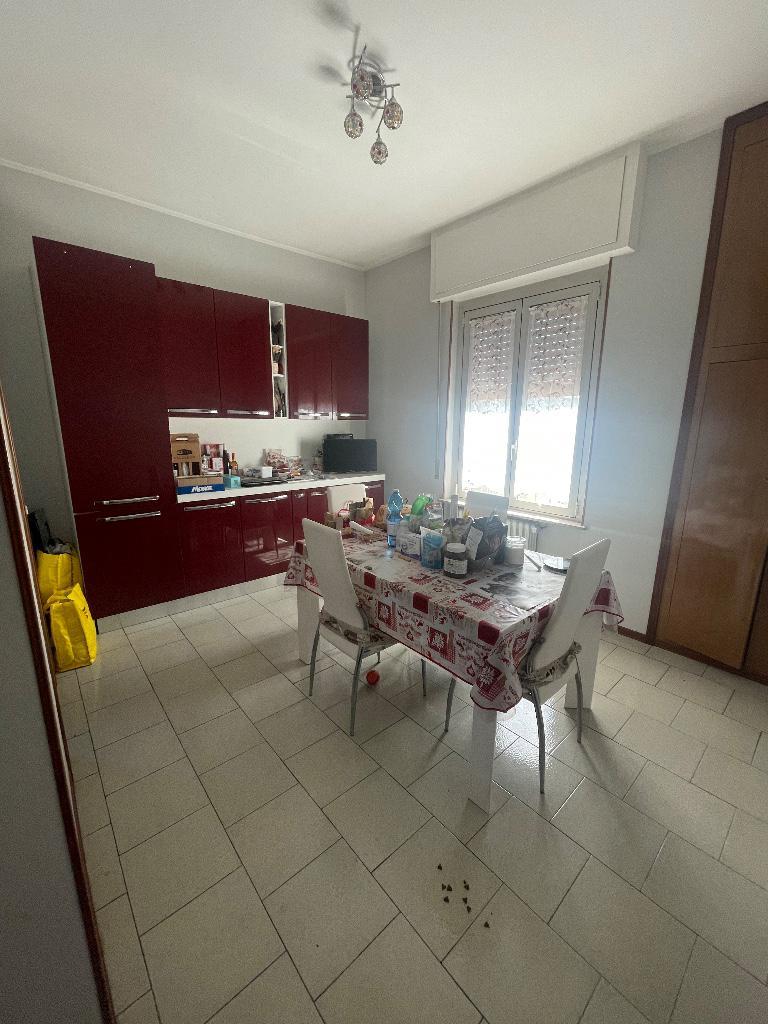 immagine annuncio 4 di 7