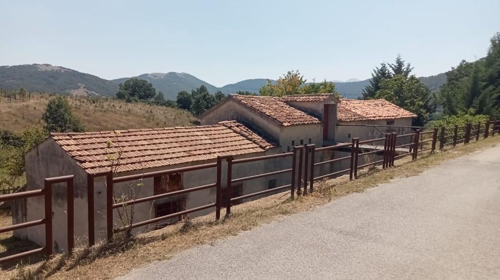 immagine annuncio 3 di 7