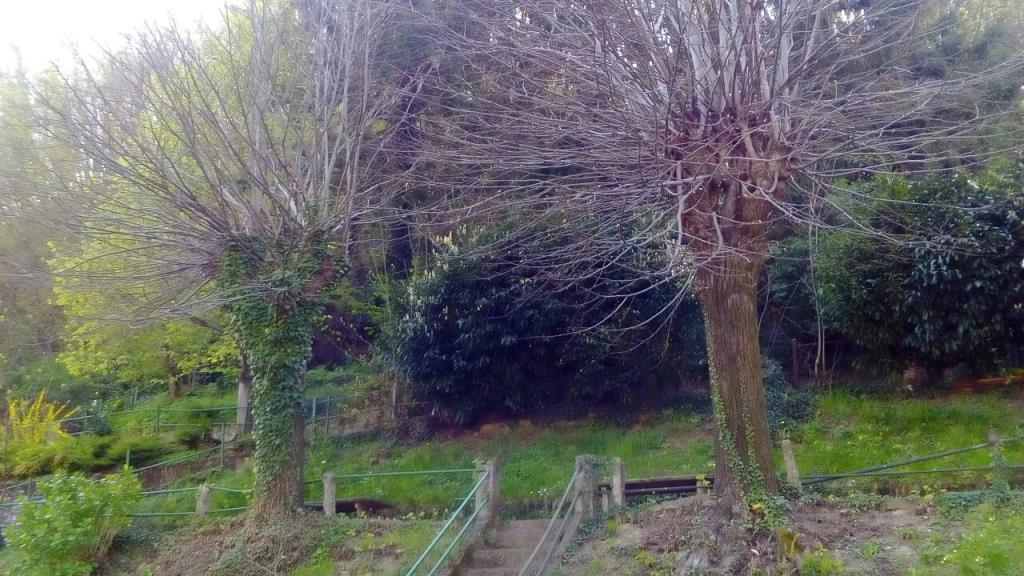 immagine annuncio 3 di 6