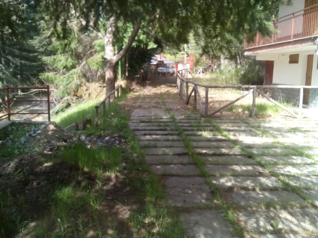 immagine annuncio 4 di 7