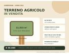 Foto - Terreno Agricolo/Coltura in Vendita a Usini (Sassari)