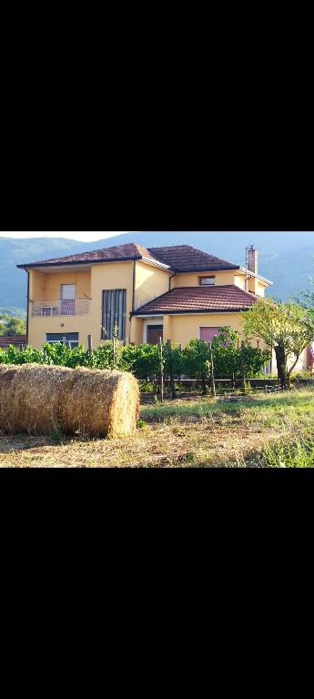 immagine annuncio 1 di 3